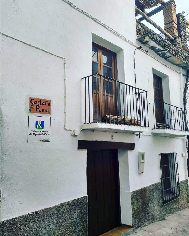 Castano Real Villa Atalbeitar Exteriör bild