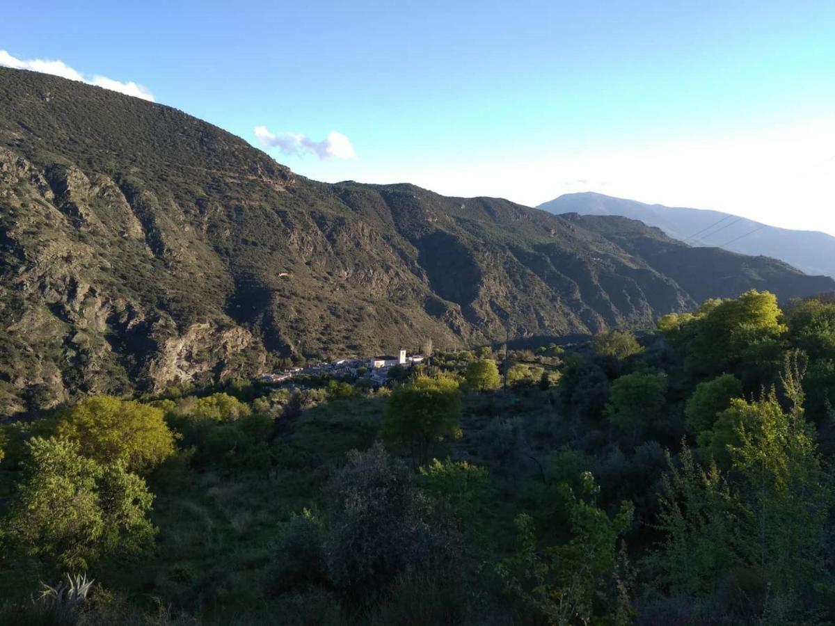 Castano Real Villa Atalbeitar Exteriör bild